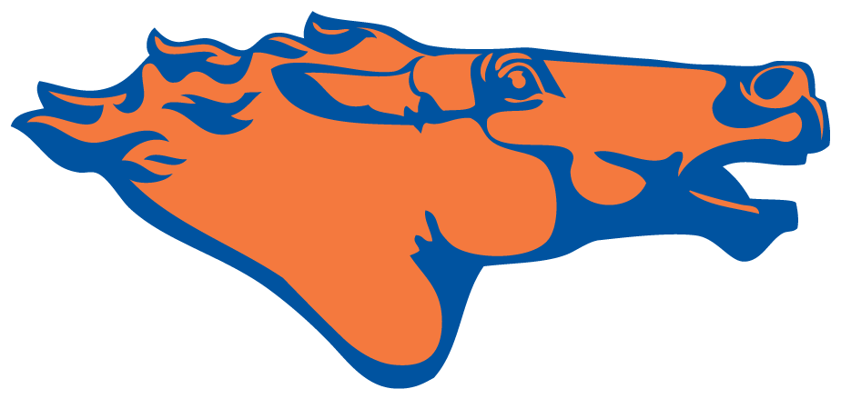 Boise State Broncos 1976-1977 Secondary Logo iron on transfers for T-shirts